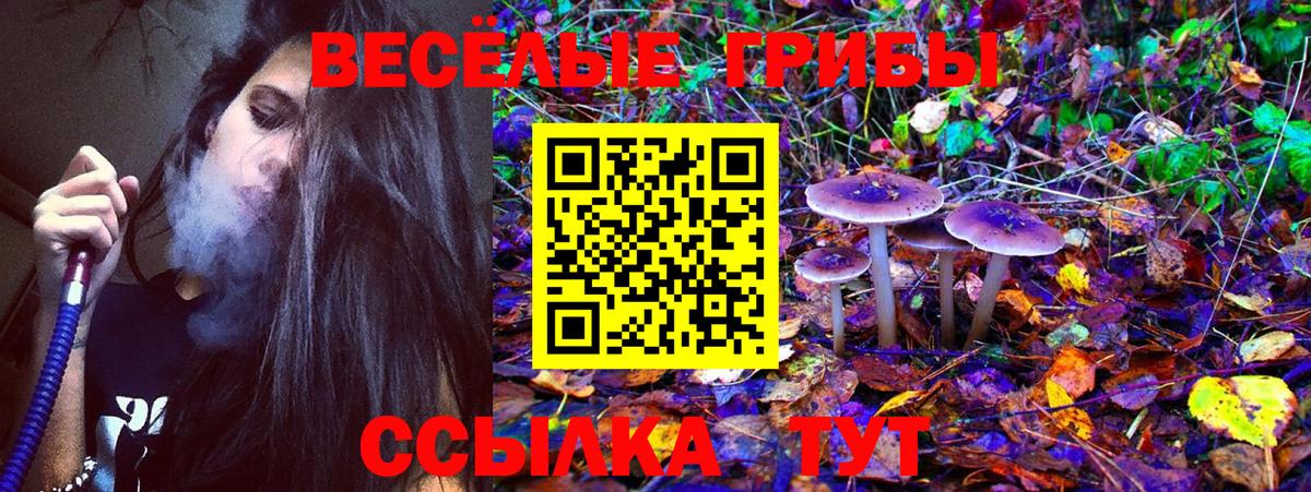 Пятигорск  Псилоцибиновые грибы GOLDEN TEACHER  Вход с VPN 